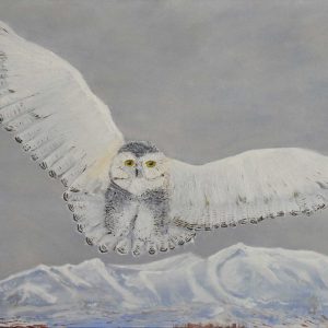 Snowy Owl original oil painting.