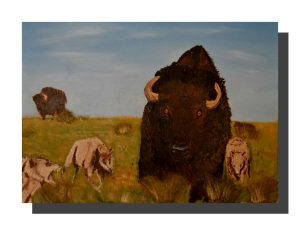 Bison & Wolves. Size A4
