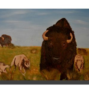 Bison & Wolves. Size A4